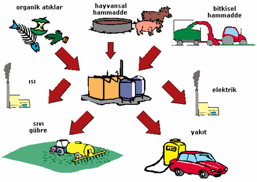 biyogaz / biogas